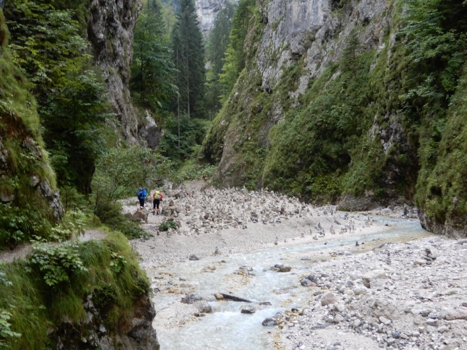 24. 8. 2020 - foto povečava