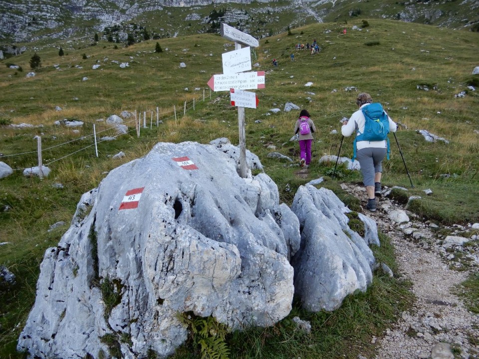 25. 8. 2020 - foto povečava