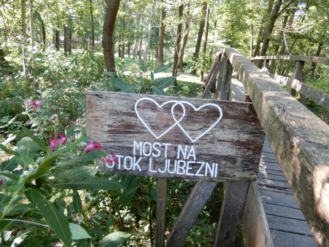 15. 9. 2020 - foto