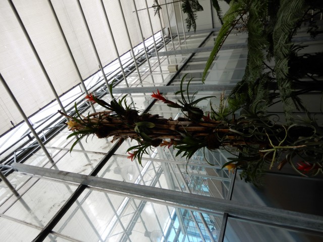 15. 9. 2020 - foto