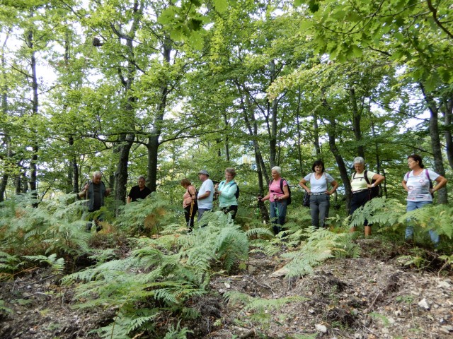 22. 9. 2020 - foto