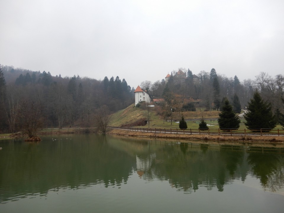 24. 2. 2025 - foto povečava