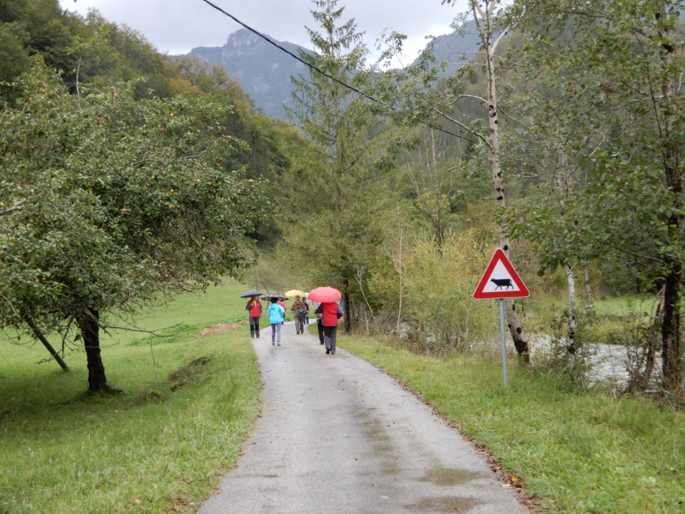 28. 9. 2020 - foto povečava