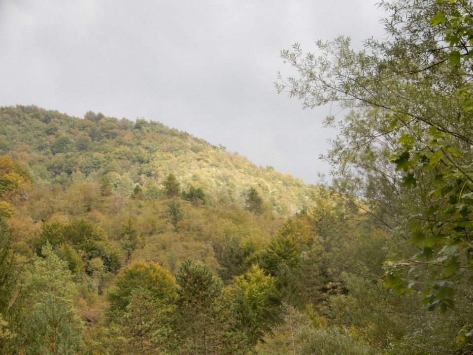 28. 9. 2020 - foto povečava