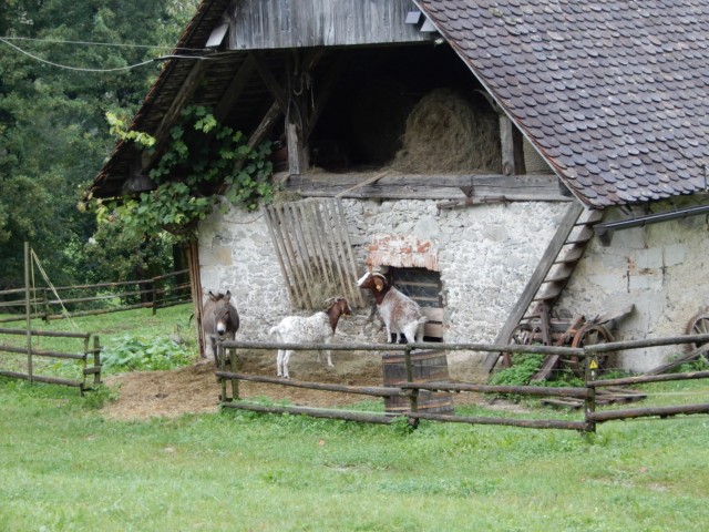 29. 9. 2020 - foto