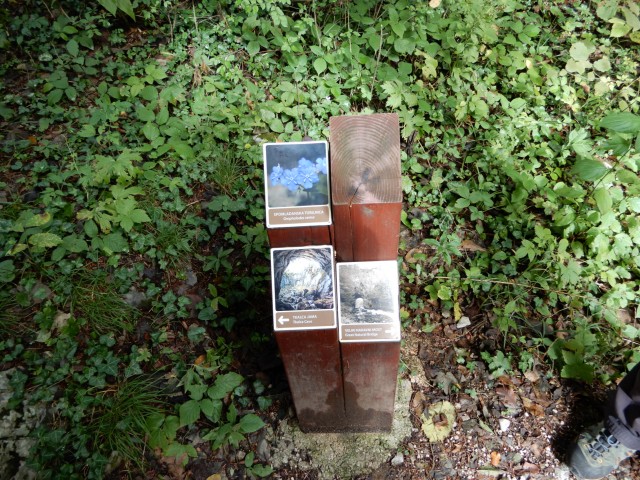 29. 9. 2020 - foto