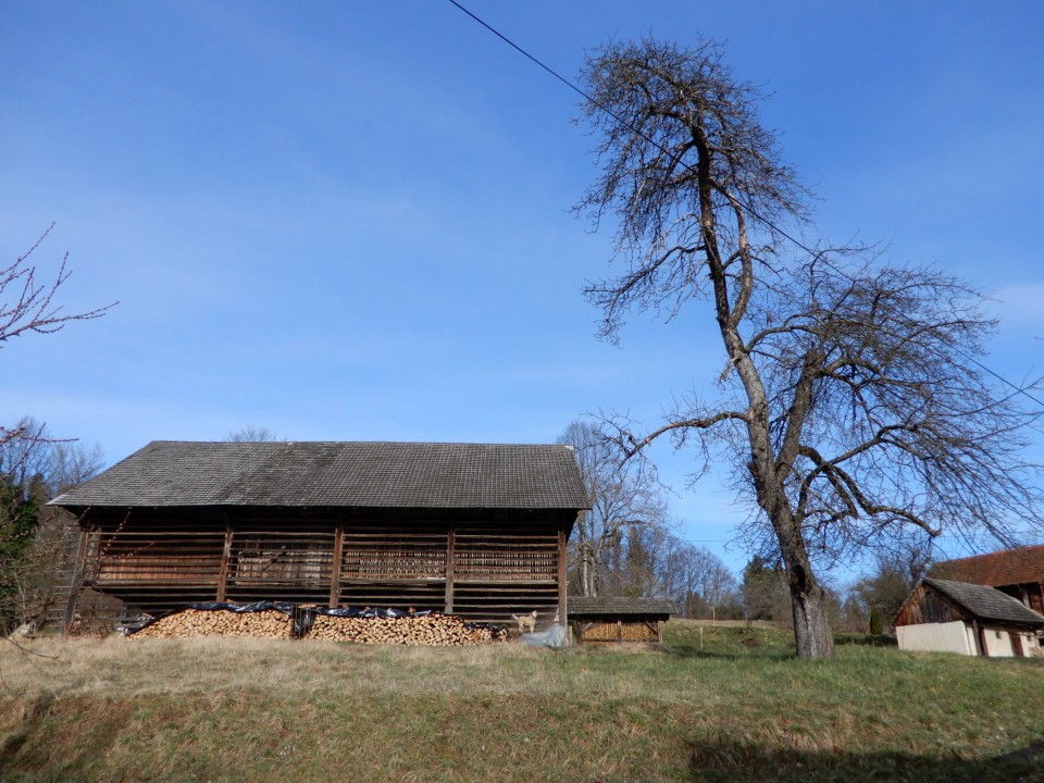 15. 3. 2021 - foto povečava