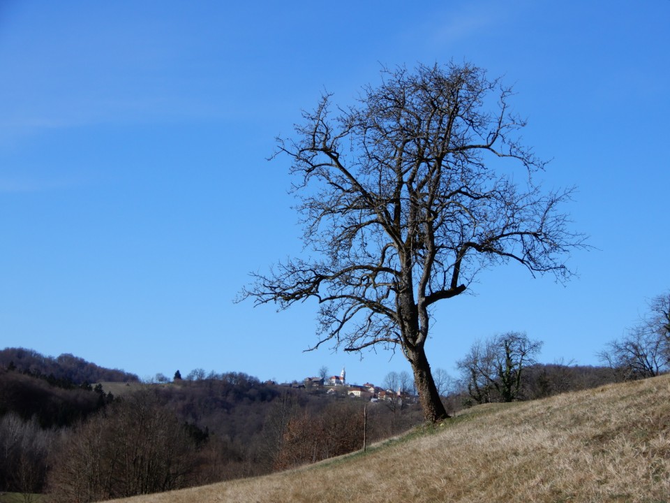 15. 3. 2021 - foto povečava