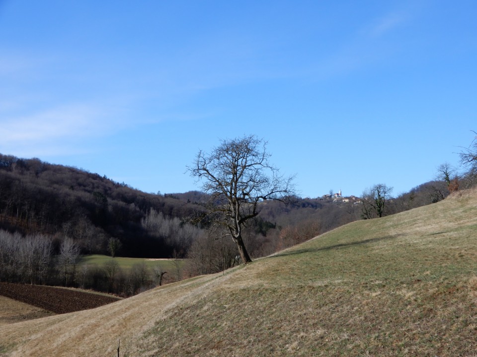 15. 3. 2021 - foto povečava