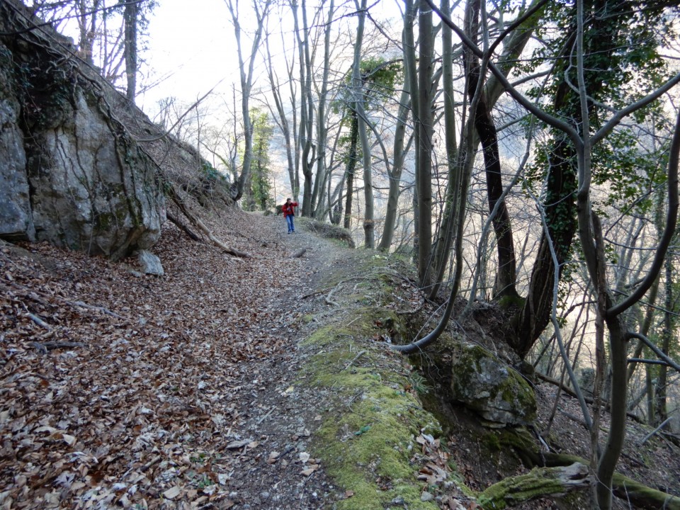 31. 3. 2021 - foto povečava