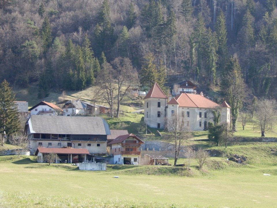 31. 3. 2021 - foto povečava