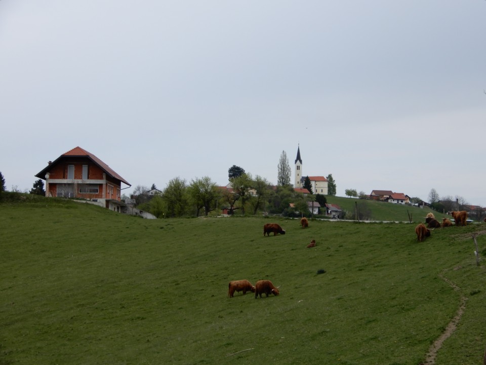 26. 4. 2021 - foto povečava