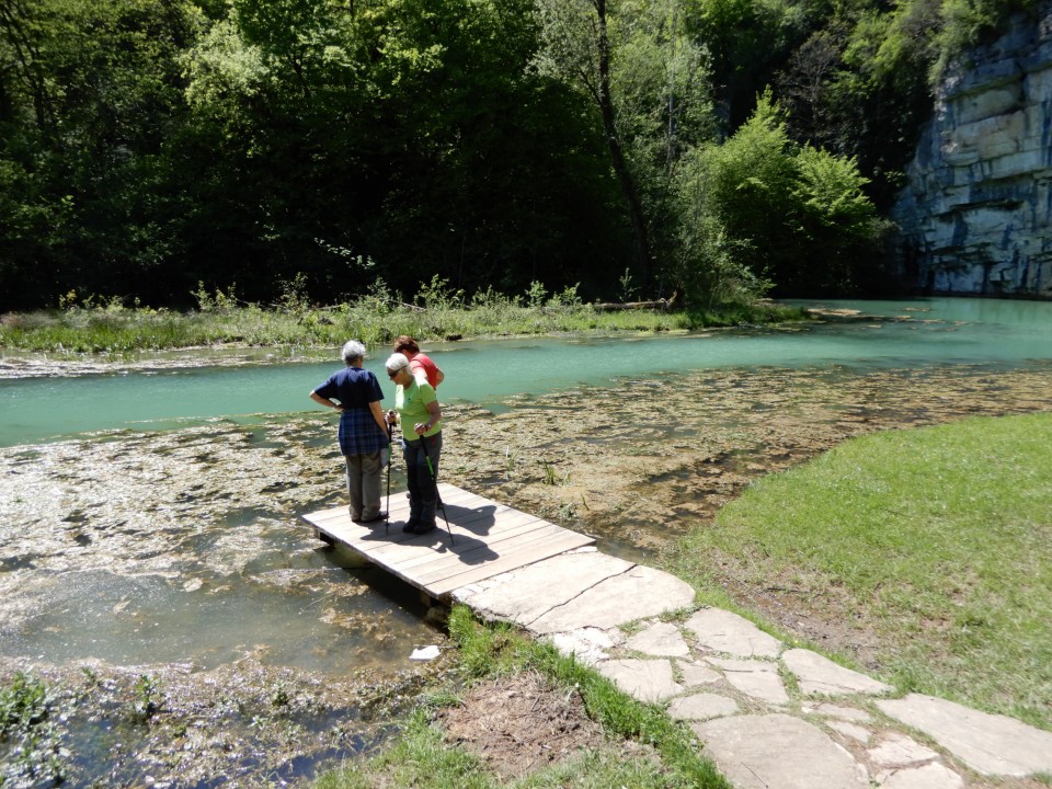 10. 5. 2021 - foto povečava