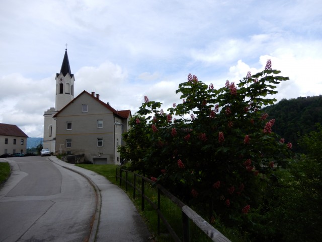 12. 5. 2021 - foto