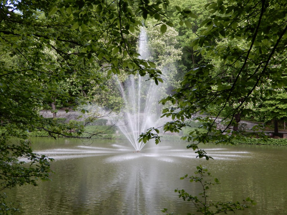 18. 5. 2021 - foto povečava