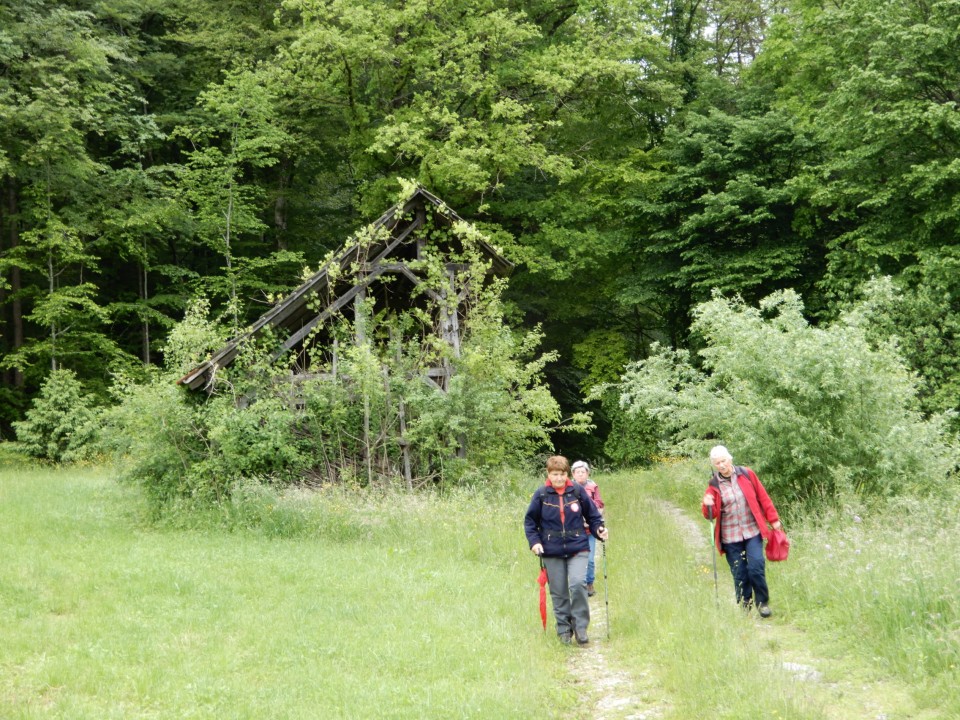 24. 5. 2021 - foto povečava