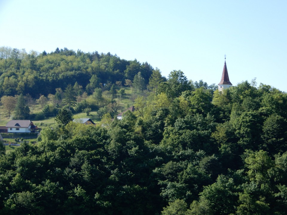 31. 5. 2021 - foto povečava