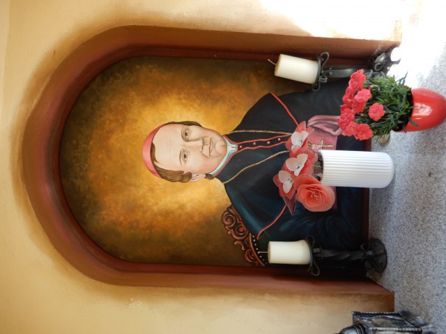 31. 5. 2021 - foto