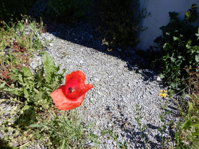 31. 5. 2021 - foto