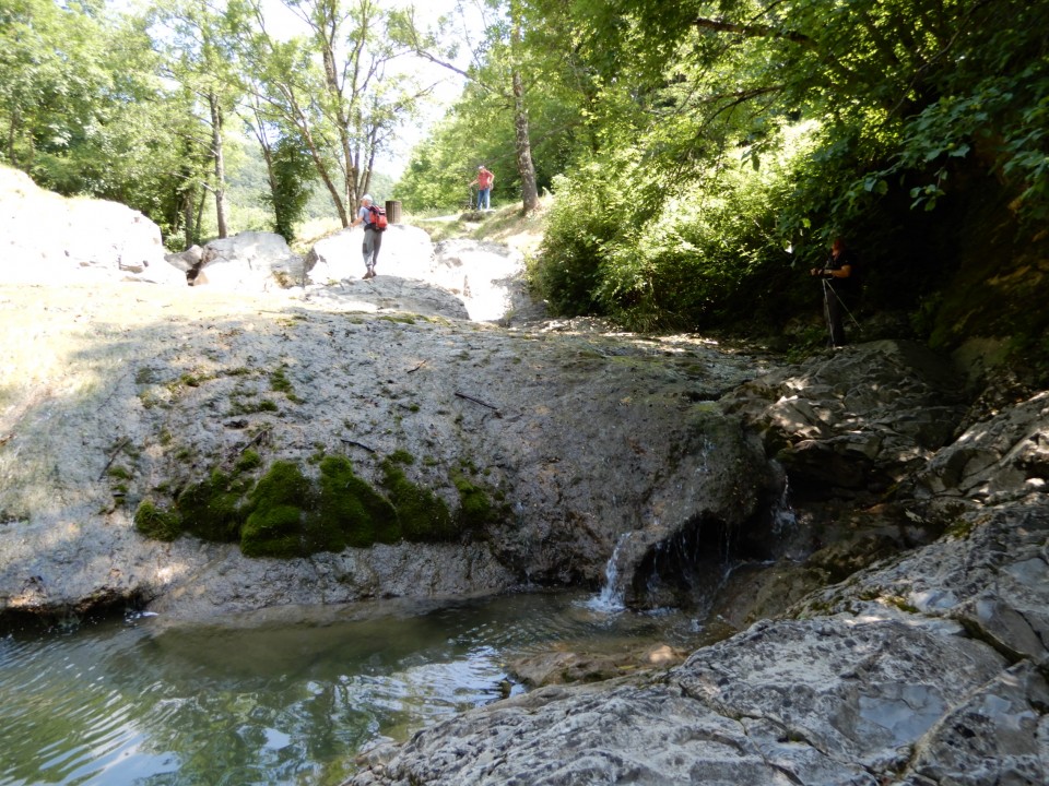 14. 6. 2021 - foto povečava