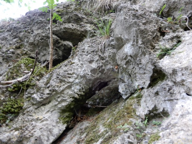 21. 6. 2021 - foto
