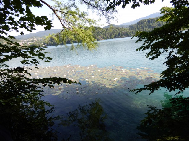 29. 6. 2021 - foto