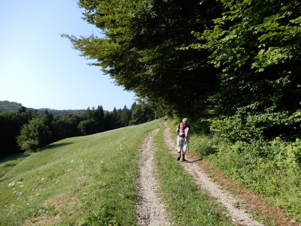 21. 7. 2021 - foto povečava