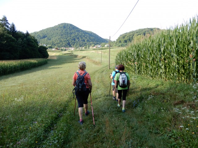 28. 7. 2021 - foto