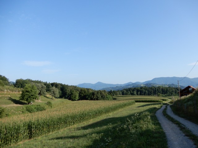 28. 7. 2021 - foto