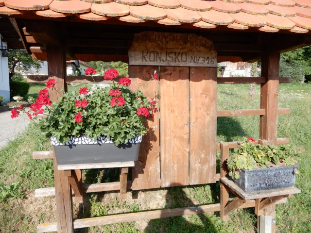 28. 7. 2021 - foto