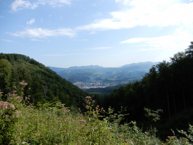 28. 7. 2021 - foto