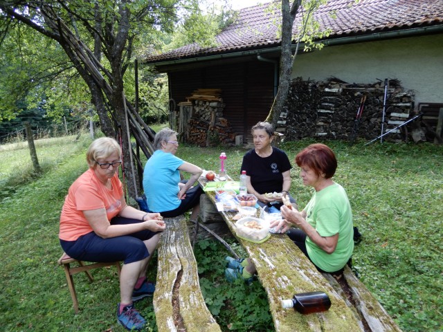 28. 7. 2021 - foto
