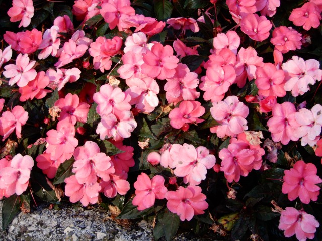 10. 9. 2021 - foto