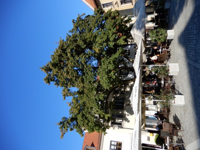 10. 9. 2021 - foto