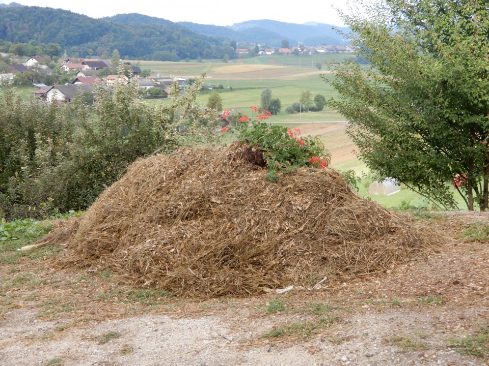 27. 9. 2021 - foto povečava