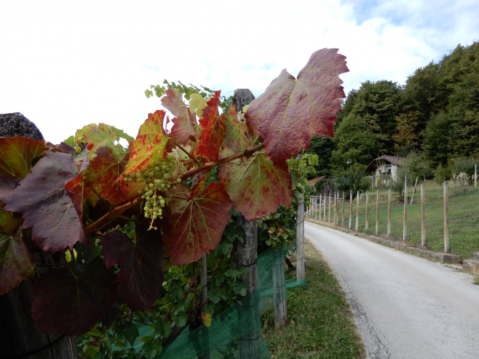 27. 9. 2021 - foto povečava