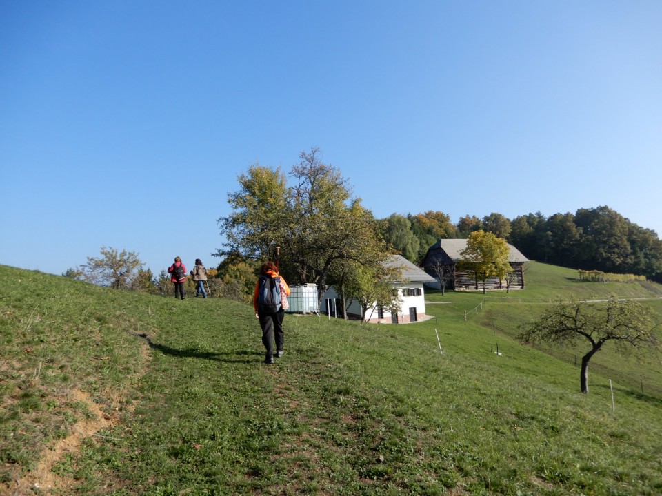 20. 10. 2021 - foto povečava