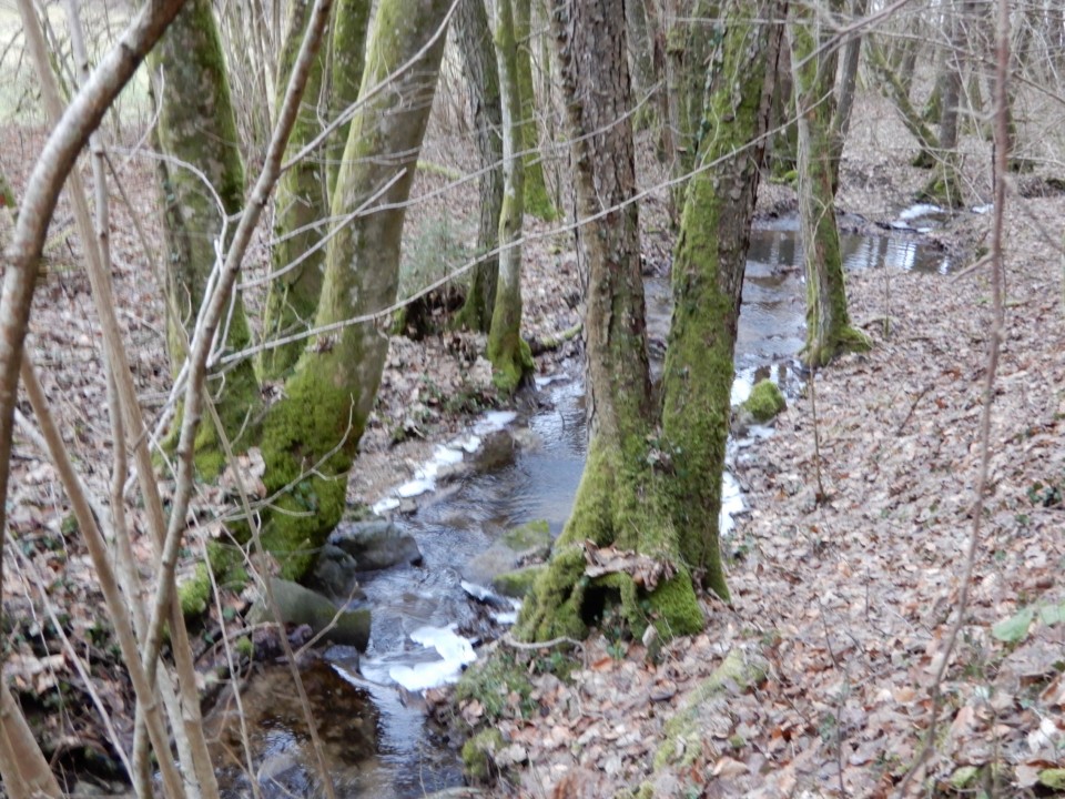 24. 1. 2022 - foto povečava