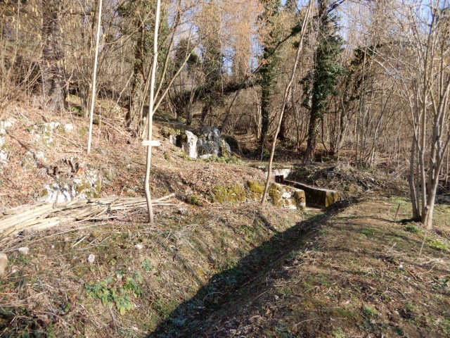 14. 2. 2022 - foto