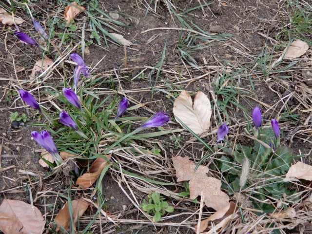20. 2. 2022 - foto