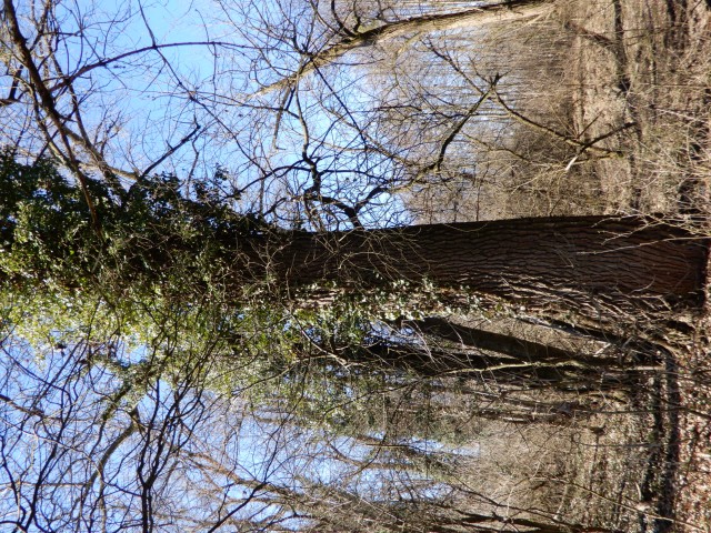 22.2. 2022 - foto