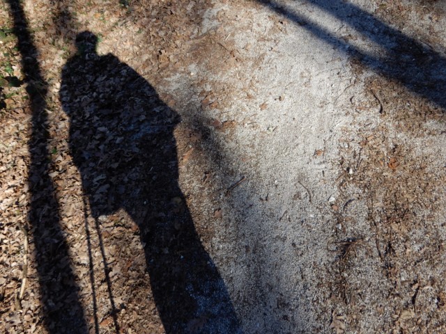 22.2. 2022 - foto
