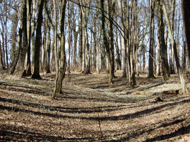 22.2. 2022 - foto