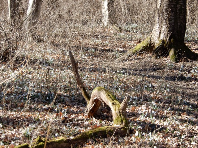 22.2. 2022 - foto