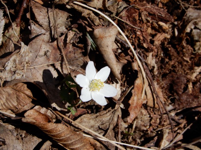 22.2. 2022 - foto