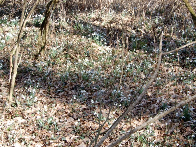 22.2. 2022 - foto