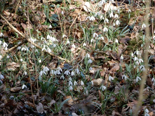 22.2. 2022 - foto