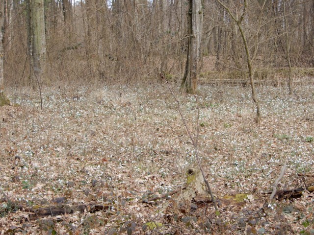22.2. 2022 - foto