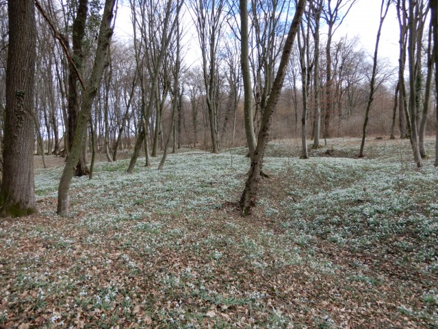 22.2. 2022 - foto