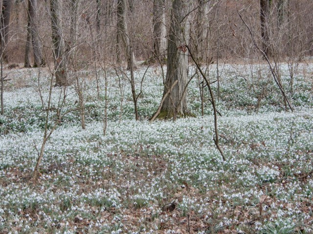22.2. 2022 - foto